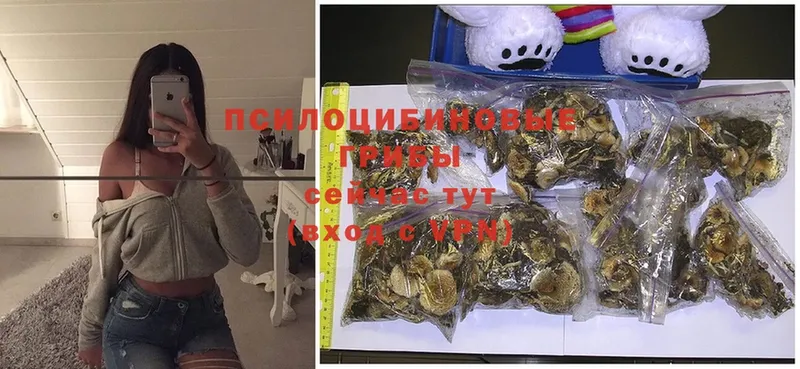 кракен рабочий сайт  Всеволожск  Псилоцибиновые грибы MAGIC MUSHROOMS 